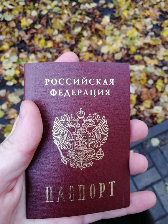 прописка в Щёкино